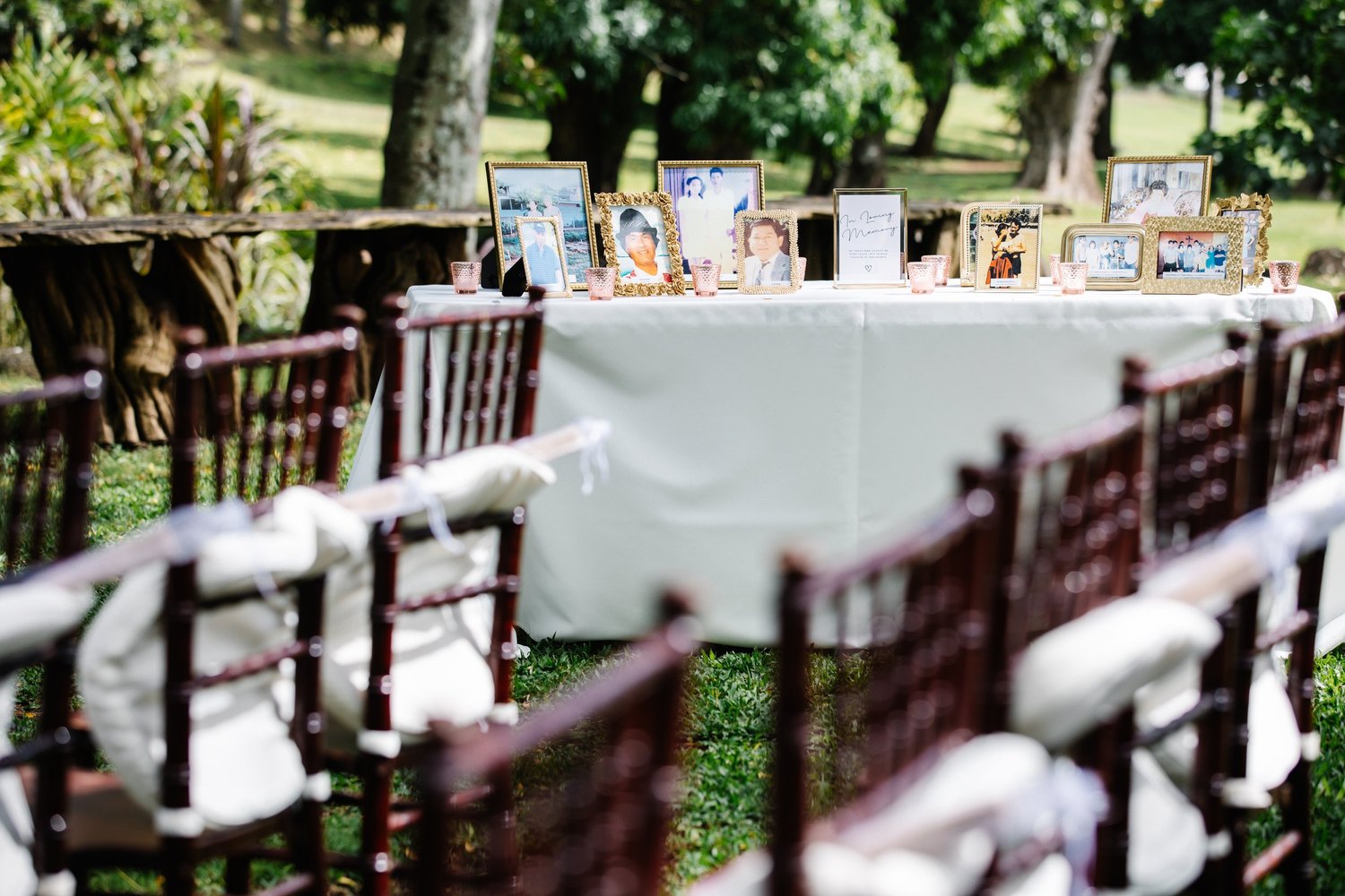 Weddings 22